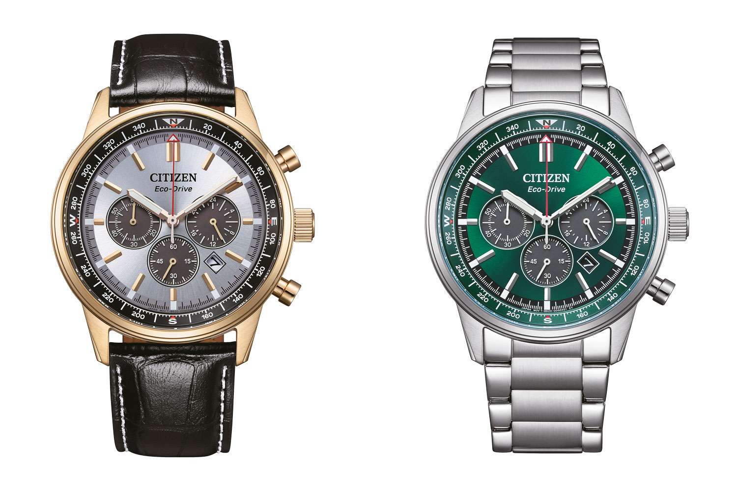 Citizen and Eco-Drive: Sustainable diversity, diverse sustainability ...